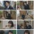 비밀의 여자.E03.230316.1080p.H264-F1RST