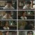 신성한, 이혼.E05.230318.1080p.H264-F1RST