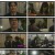 신성한, 이혼.E06.230319.1080p.H264-F1RST