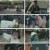 도련님의 로맨스.E16.230320.1080p.H264-F1RST