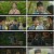 꽃선비 열애사.E01.230320.1080p.H264-F1RST
