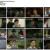 꽃선비 열애사.E02.230321.1080p.H264-F1RST