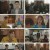 마녀의 게임.E102.230322.1080p.H264-F1RST