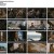 오아시스.E08.230328.1080p.H264-F1RST