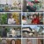 금이야 옥이야.E06.230403.1080p.H264-F1RST