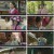 꽃선비 열애사.E05.230403.1080p.H264-F1RST