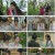 택군기.E07.230404.1080p.H264-F1RST