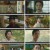 꽃선비 열애사.E06.230404.1080p.H264-F1RST