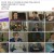 마녀의 게임.E115.230410.H264.720p-BULDU