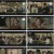 닥터 차정숙.E03.230422.1080p.H264-F1RST