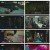 패밀리.E03.230424.1080p.H264-F1RST