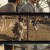 조선변호사.E09.230428.720p-NEXT