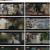닥터 차정숙.E06.230430.1080p.H264-F1RST