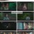 구미호뎐1938.E01.230506.1080p.H264-F1RST