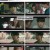 스틸러 일곱 개의 조선통보.E11.230517.720p.H264-F1RST