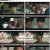 스틸러 일곱 개의 조선통보.E11.230517.1080p.H264-F1RST