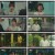 패밀리.최종회.E12.230523.720p.H264-F1RST