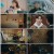 보라! 데보라 E13 1080p