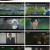 구미호뎐1938.E07.230527.720p.H264-F1RST