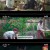 구미호뎐1938.E11.230610.720p-NEXT