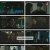 이로운 사기.E15.230717.1080p.H264-F1RST