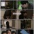 [ENA] 행복배틀 _E15.2023.0719.1080P-MAKT