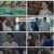 아씨두리안.E11.230729.1080p.H264-F1RST