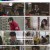 경이로운 소문2 카운터 펀치.E02.230730.1080p.H264-F1RST