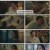 아씨두리안.E14.230806.1080p.H264-F1RST