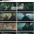 소방서 옆 경찰서 그리고 국과수.E03.230811.1080p.H264-F1RST