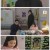 우아한 제국.E75.231208.1080p.H264-F1RST