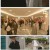 효심이네 각자도생.E27.231224.1080p.H264-F1RST