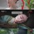 화교희사.E18.240322.720p-NEXT