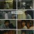 히어로는 아닙니다만.E04.240512.720p-NEXT
