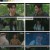 비밀은 없어.E05.240515.1080p.H264-F1RST