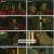 히어로는 아닙니다만.E08.240526.1080p.H264-F1RST