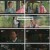 세자가 사라졌다.E18.240609.720p.H264-F1RST