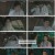 장상사.E17.240910.1080p.H264-F1RST
