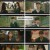 조립식 가족.E02.241009.1080p.H264-F1RST
