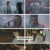 장상사.E48.241023.1080p.H264-F1RST