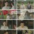장상사.E50.241025.1080p.H264-F1RST