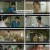 조립식 가족.E10.241106.1080p.H264-F1RST