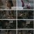 신생.E07.241112.1080p.H264-F1RST