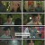사랑은 외나무다리에서.E02.241124.1080p.H264-F1RST