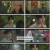 사랑은 외나무다리에서.E02.241124.1080p.H264-F1RST