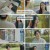 키스라이팅.E01.241204.1080p.H264-F1RST