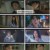 사랑은 외나무다리에서.E05.241207.1080p.H264-F1RST