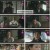 옥씨부인전.E03.241208.1080p.H264-F1RST