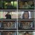 열혈사제2.E10.241213.1080p.H264-F1RST