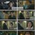 사랑은 외나무다리에서.E09.241221.1080p.H264-F1RST